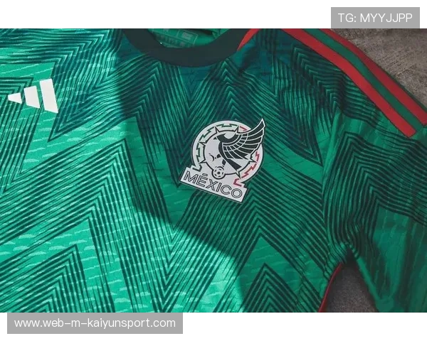 队员背景多样，凝聚墨西哥体育精神，墨西哥队队服